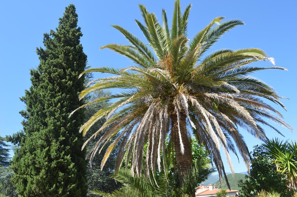 Villa Lafabregue Prades  Exteriör bild